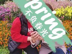 -秀丽东方