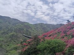 -木兰云雾山
