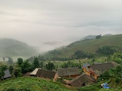 -紫鹊界梯田景区