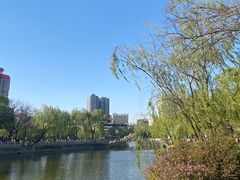 -文瀛公园