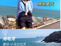 -广东惠东海龟国家级自然保护区