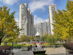 -苏州河梦清园环保主题公园