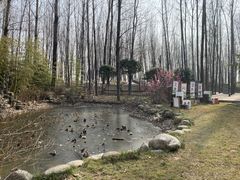 -林间山庄