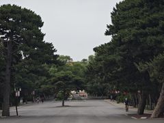-北陵公园