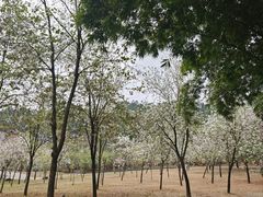 -中国移动南方基地