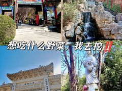 -西安曲江寒窑遗址公园