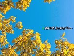 -大连植物园