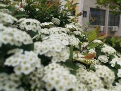 -长安大学(北校区)