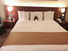 -上海浦东康桥绿地假日酒店