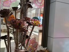 -丽达购物中心(崂山店)