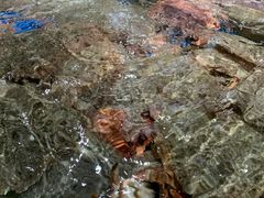 -盒马鲜生(馥邦国际店)