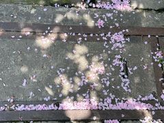 -霖公馆SPA·足道(普善路店)