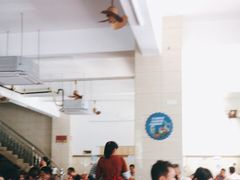 大堂-四嫂鹅肉店(银海南二横街店)