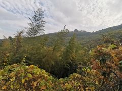 -穹窿山景区