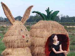 -中国天府农业博览园