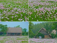 -良渚古城遗址公园