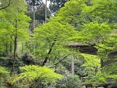 -三千院