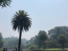 -墨尔本皇家植物园