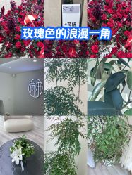 -HEYAN荷妍专业脱毛连锁机构
