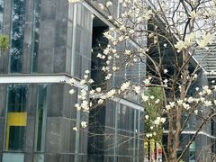 -同济大学(嘉定校区)