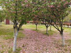 -钟山体育运动公园