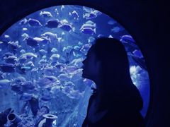 -成都浩海立方海洋公园