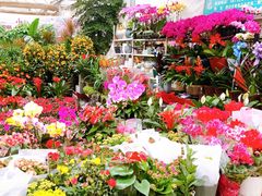 -秦美花卉(天朗·莱茵小城2期店)