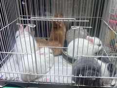 -双季花艺园艺市场(浦东店)