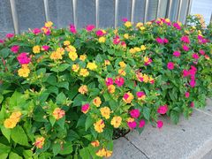 -超级奶爸(同安路店)