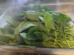 -成老灶火锅鸡(平山店)