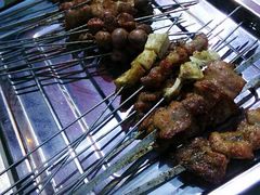 -迎燕阁烤羊腿(二环南路店)