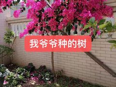 -元宝烤肉店·齐齐哈尔烤肉·烤串