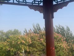 -大兴滨河森林公园