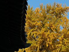 -潭柘寺景区