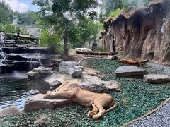 -北京野生动物园