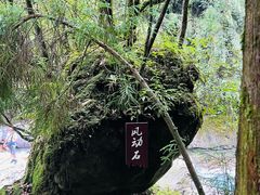 -西岭雪山大飞水景区
