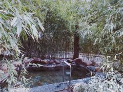 -国御温泉度假小镇