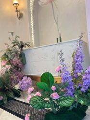 -尊尚柏丽美容SPA