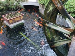 -顺德了能馆(虎门店)