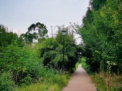 -三圣花乡旅游区