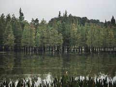 -白鹭湾湿地公园