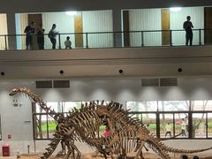 -自贡恐龙博物馆