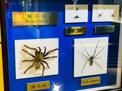 -上海昆虫博物馆