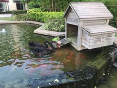 -行者书屋大堂吧 ·下午茶(南京圣和府邸酒店)