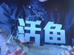 -老板恋上鱼(恒隆广场店)