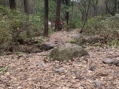 -云岫谷游猎自然风景区