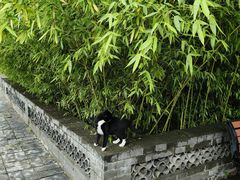 -天宁寺