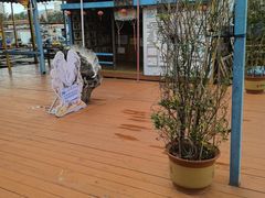-蓝湾碧波·老字号·疍家非遗海上餐厅