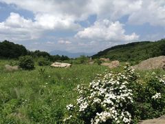 -白草畔自然风景区