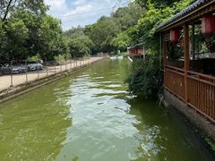 -水库河鲜村